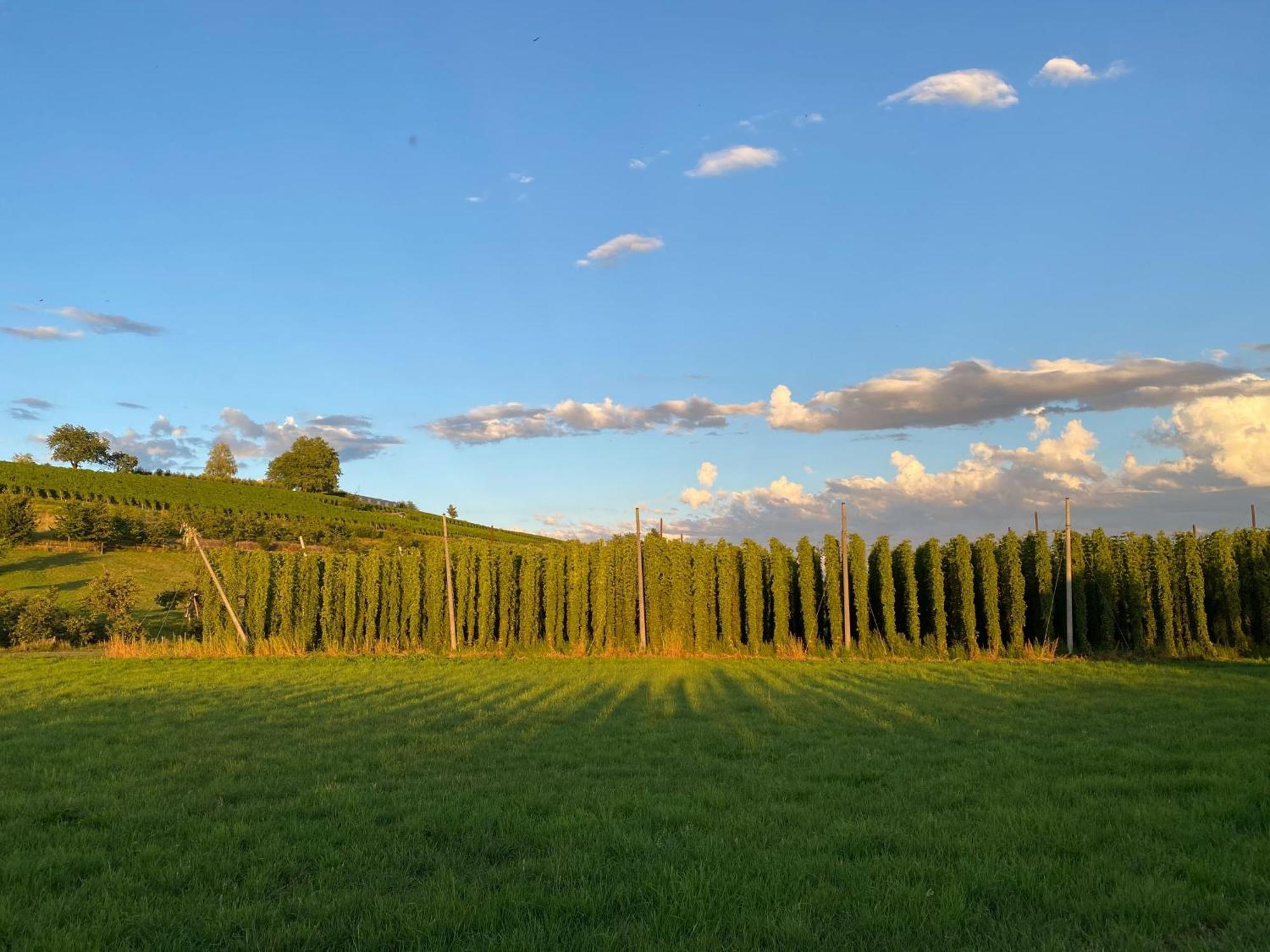 Beim Dorfbach - Die Hofchalets Kressbronn am Bodensee Zewnętrze zdjęcie
